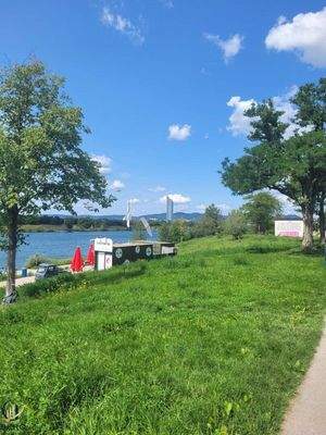 Donauinsel vor der Haustüre