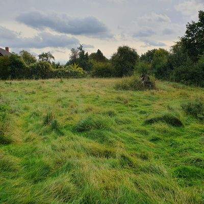 Blick auf das Baugrundstück
