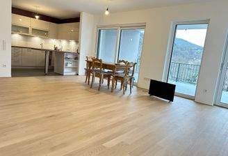 Wohnraum mit offener Küche