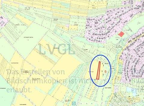 Marpingen Bauernhöfe, Landwirtschaft, Marpingen Forstwirtschaft