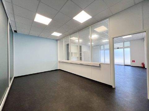 Dresden Ladenlokale, Ladenflächen 