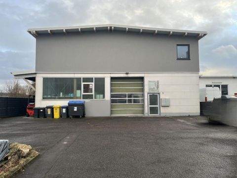 Kernen Halle, Kernen Hallenfläche