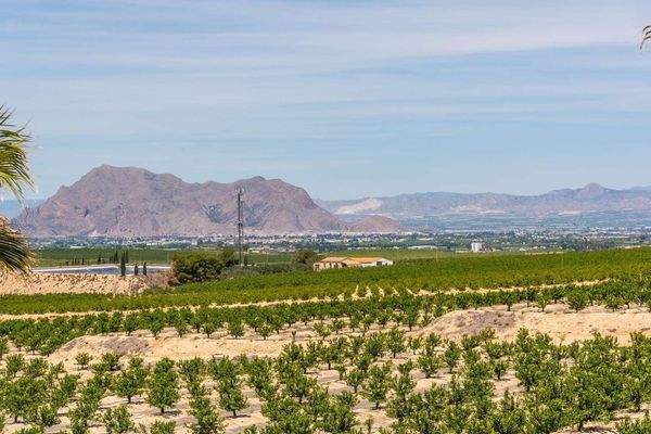 Oasis Villas Sea Model 51