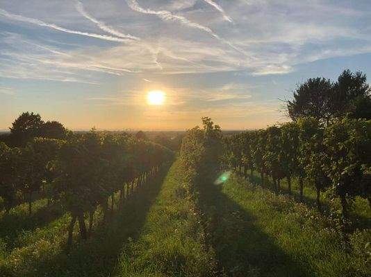 Image_20260118221934_143_1231