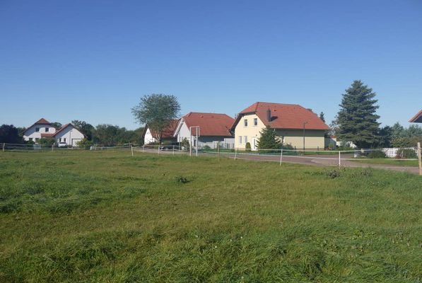 Bild3