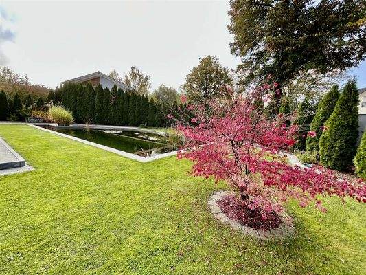 Wunderbar angelegter Garten mit Naturpool