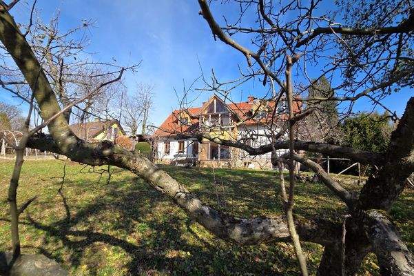 Birkenweg 4, Thal-14