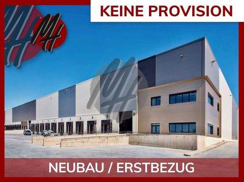 Schkeuditz Halle, Schkeuditz Hallenfläche