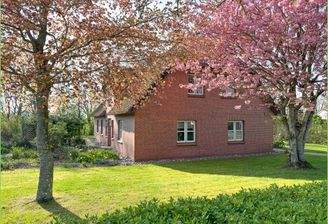 Kirschblüte im Wasserkoog