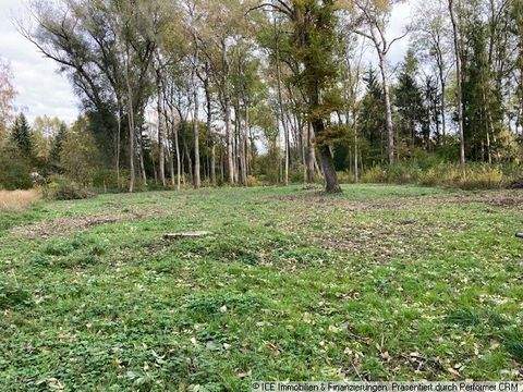 Ingolstadt Bauernhöfe, Landwirtschaft, Ingolstadt Forstwirtschaft