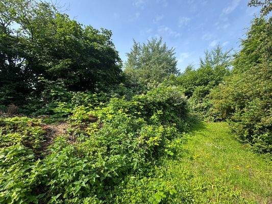 ehemalige Gärtnerei