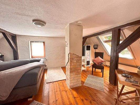 24 makellos EFH Schorrentin.JPG