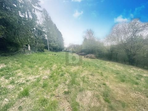 Calw Grundstücke, Calw Grundstück kaufen