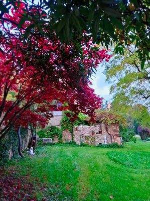 Rotahorn am Schloss.jpeg