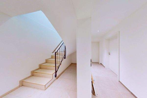 Kellerabgang / Garage