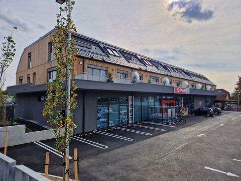 Kirchberg am Wagram Wohnungen, Kirchberg am Wagram Wohnung mieten