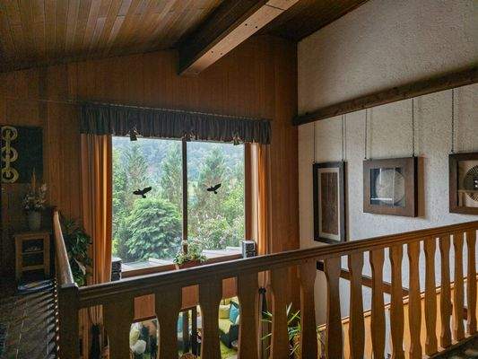 Blick vom Essbereich