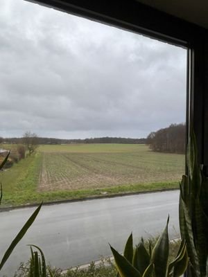 Blick aus dem Esszimmer 