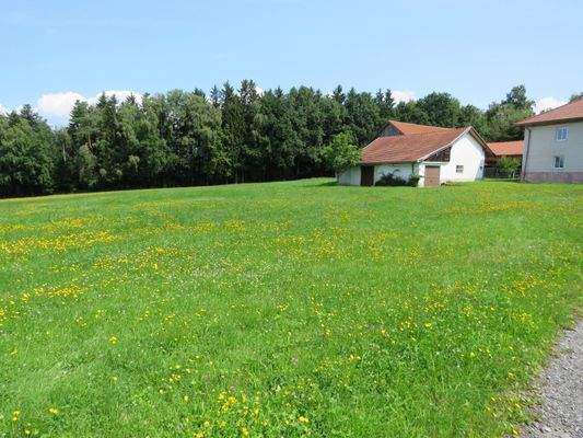 Wiese direkt am Hof   
