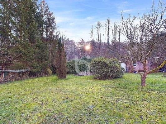 Erholungsdomizil Grundstück 5