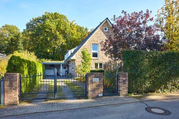 Auffahrt und elektrische Toranlage