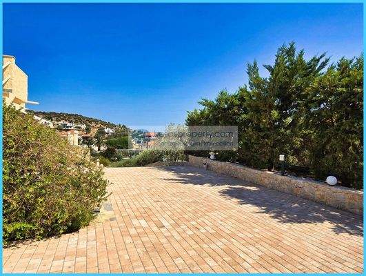 b57be6c2a1524f96a19cf0d486308186-original