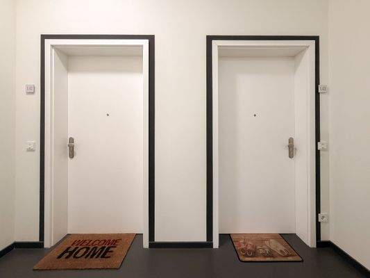 Eingangstüren
