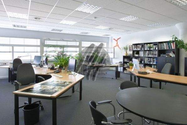 INFOS UNTER: 06171-586000