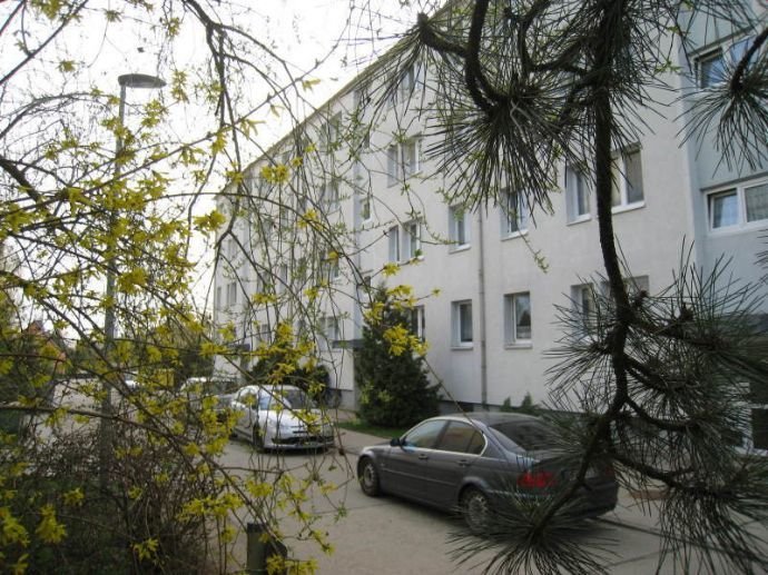 Gute Raumaufteilung 3-Zi-Wohnung in Kemberg