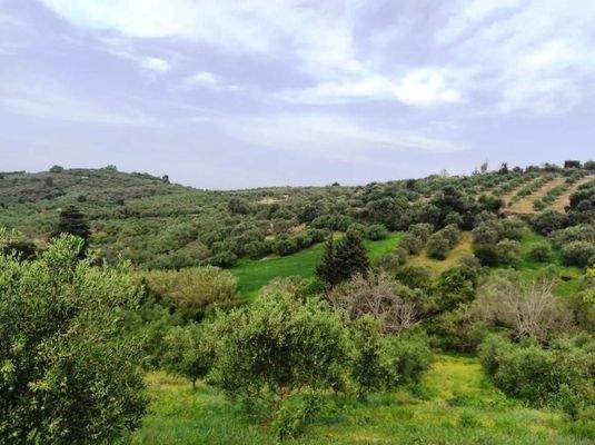 Kreta, Kastellos: Grundstück mit Meerblick zu verkaufen