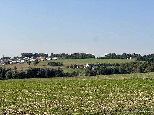 Immobilien-Eggenfelden 2