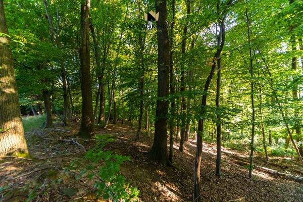 Grundstücksumgebung