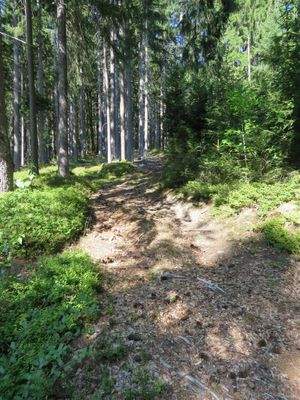 Zufahrtswege im Wald  