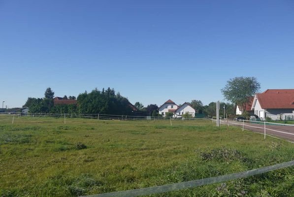Bild4