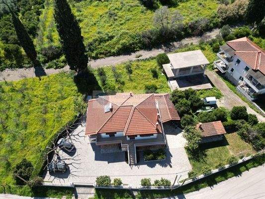 img_5160e807-60cb-42d8-b334-391450707c31