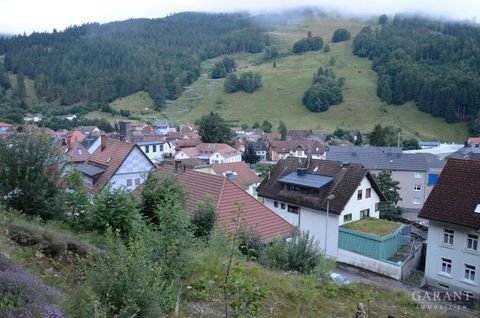 Todtnau Grundstücke, Todtnau Grundstück kaufen