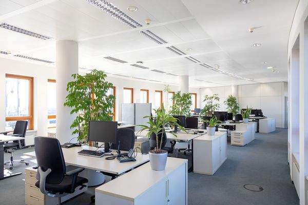 ©Haroc Marcard Arcadia-Stern_48