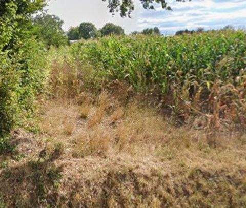 Holzwickede Bauernhöfe, Landwirtschaft, Holzwickede Forstwirtschaft