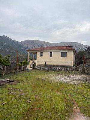 WhatsApp Image 2026-01-05 at 11.24.59.jpeg