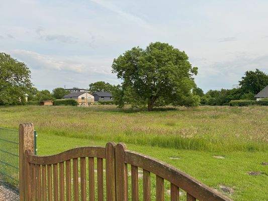 Blick auf die Hauskoppel