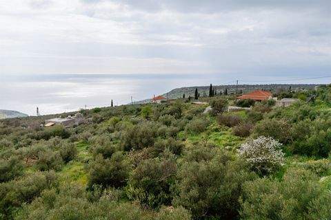 ????????? Grundstücke, ????????? Grundstück kaufen