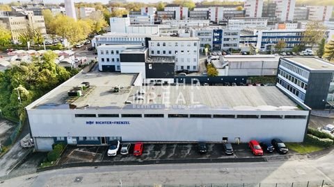 Essen Halle, Essen Hallenfläche