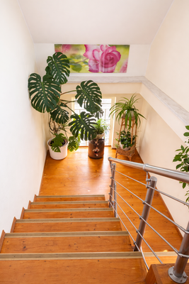 Eigentümerwohnung - Treppenaufgang