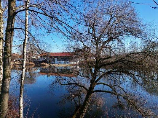 Ausblick auf den Weiher