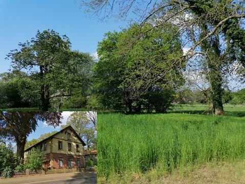 Gyhum / Hesedorf bei Gyhum Häuser, Gyhum / Hesedorf bei Gyhum Haus kaufen