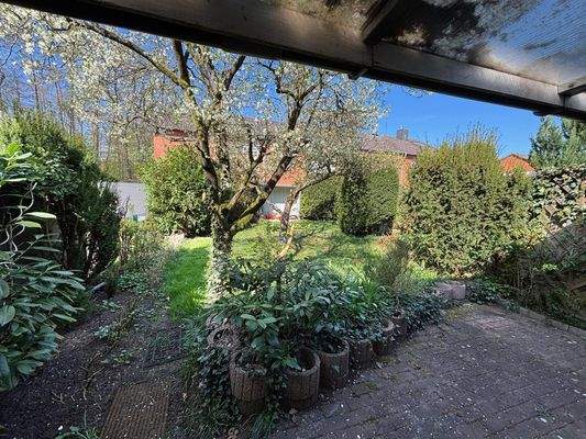 Garten mit altem Baumbestand