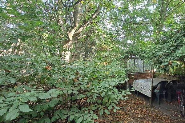 und zusätzlichem Eigenland