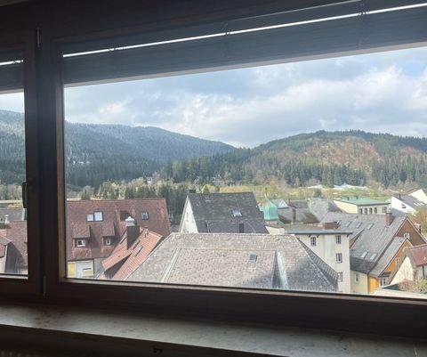 Titisee-Neustadt Wohnungen, Titisee-Neustadt Wohnung mieten