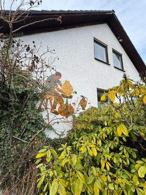 WhatsApp Image 2026-02-23 at 17.55.00 (1)