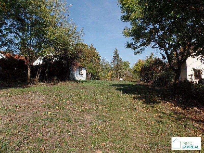 Real Estate Image